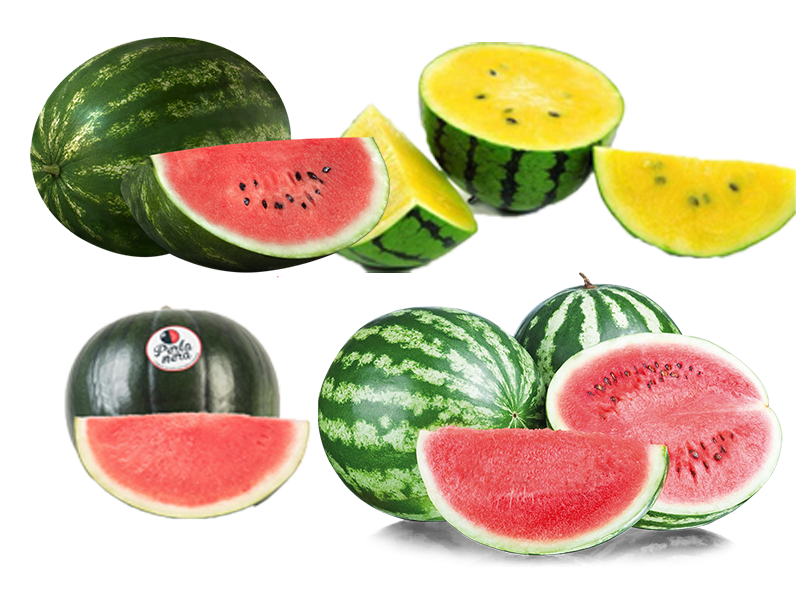 angurie_strafrutta_perlanera_fondi_mof
