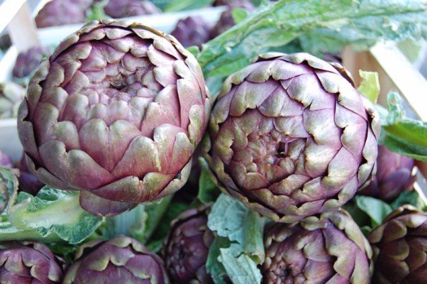 carciofi_strafrutta