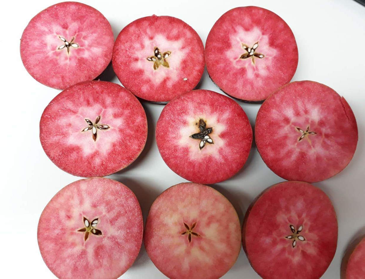 mele kissabel tagliate 