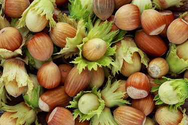 nocciole-strafrutta