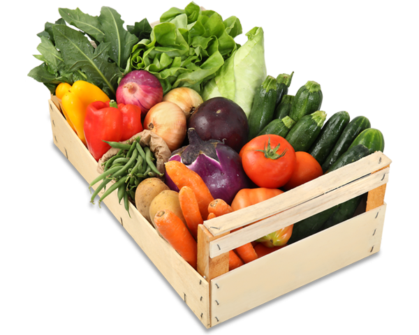 ortaggi-locali-fondi-latina-lazio-strafrutta