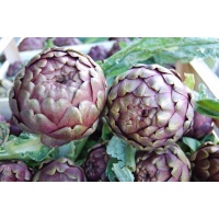 carciofi_strafrutta