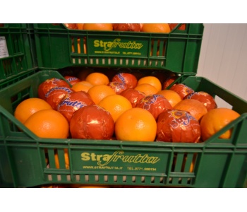 20140131 prodotti vari 003