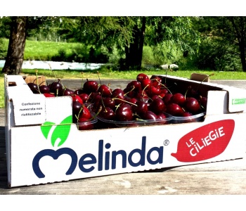 ciliegie-melinda-strafrutta-italia-frutta-online-fondi