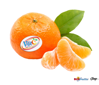 clementine-vitac-strafrutta-fondi-vendita-online-consegna-domicilio-2020-2021