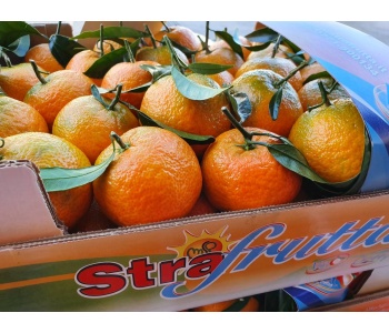 clementine strafrutta 2