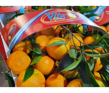 clementine strafrutta 3