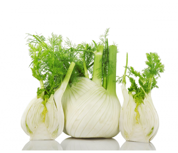 finocchi-strafrutta-lazio-fondi-latina