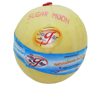 melone-sugar-moon-strafrutta-frutta-online-trasparente-small 1311786917