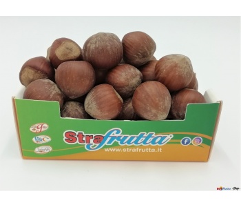 nocciole-tostate-francia-strafrutta-vendita-online-consegna-domicilio