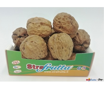 noci-francia-frutta-secca-strafrutta-fondi-latina