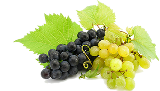 uva_strafrutta_bianca_nera